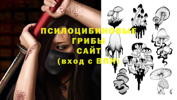 кокс Абаза